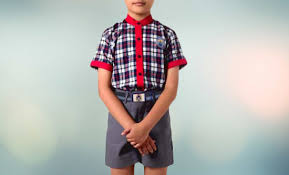 Standard School Dress